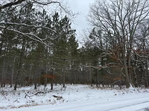 Parcel D Mac Road, Irons, MI 49644 photo 2