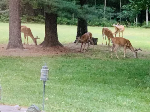 Other - 13641 Brewer Rd, Brethren, MI 49619 photo 2 of 19