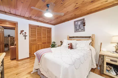 Bedroom - 13641 Brewer Rd, Brethren, MI 49619 photo 5 of 9