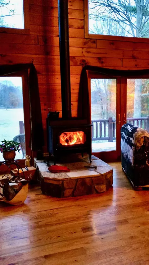 Living - 13641 Brewer Rd, Brethren, MI 49619 photo 5 of 9