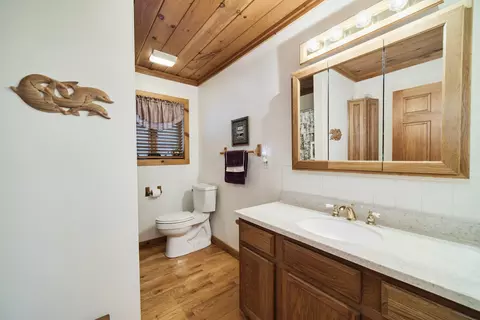Bath - 13641 Brewer Rd, Brethren, MI 49619 photo 4 of 6