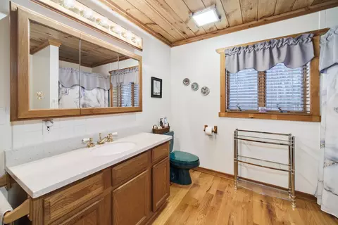 Bath - 13641 Brewer Rd, Brethren, MI 49619 photo 3 of 6