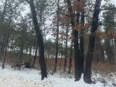 0 N Pine Ave, White Cloud, MI 49349 photo 2