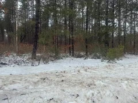 0 N Pine Ave, White Cloud, MI 49349