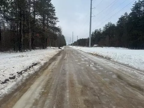 0 N Pine Ave, White Cloud, MI 49349 photo 3