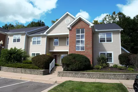1003 E Duncan St, Manchester, MI 48158