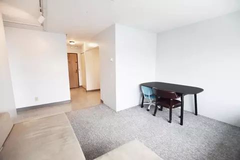 555 E William St #8F, Ann Arbor, MI 48104 photo 6