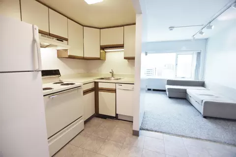 555 E William St #8F, Ann Arbor, MI 48104 photo 8