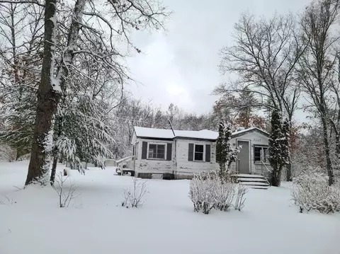 3243 S Yale Ave, Baldwin, MI 49304