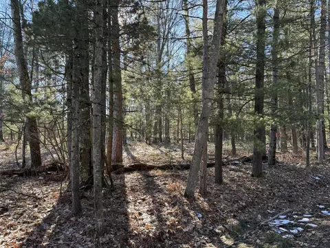 Parcel A Coates Hwy, Harrietta, MI 49638