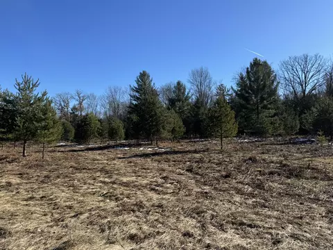 Parcel B Coates Hwy, Harrietta, MI 49638 photo 2