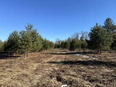 Parcel B Coates Hwy, Harrietta, MI 49638 photo 3