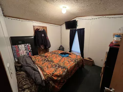 155 E Cannonsville Rd, Stanton, MI 48888 photo 7
