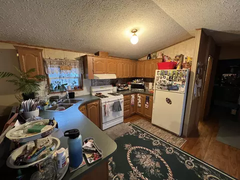 155 E Cannonsville Rd, Stanton, MI 48888 photo 3