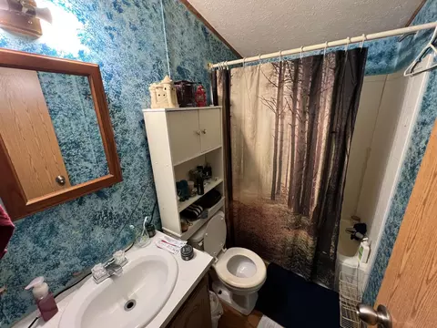 155 E Cannonsville Rd, Stanton, MI 48888 photo 8