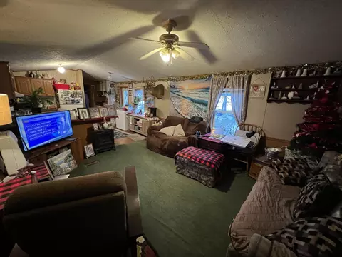 155 E Cannonsville Rd, Stanton, MI 48888 photo 2