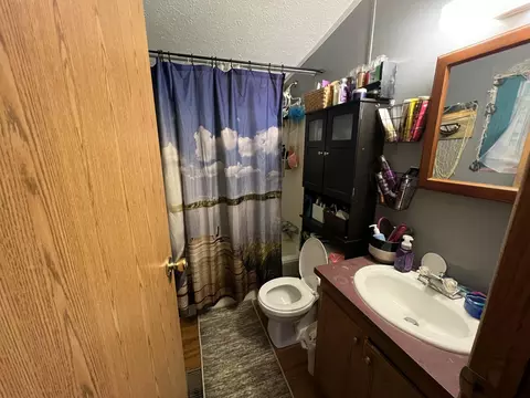 155 E Cannonsville Rd, Stanton, MI 48888 photo 5