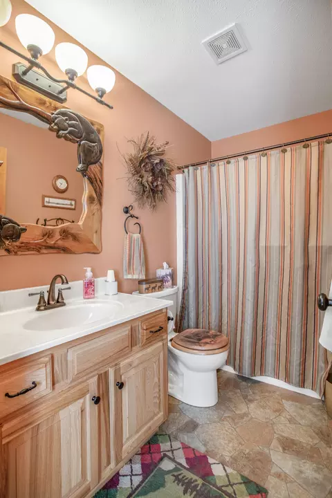 19409 Mud Lake St, Cassopolis, MI 49031 photo 21