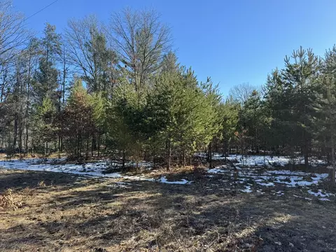Parcel D Arquilla Creek, Harrietta, MI 49638