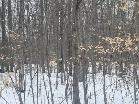 V/l Keith Rd, Brethren, MI 49619 photo 11
