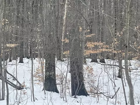 V/l Keith Rd, Brethren, MI 49619 photo 13