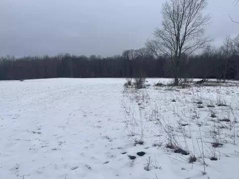 V/l Keith Rd, Brethren, MI 49619