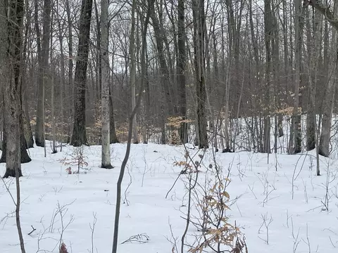 V/l Keith Rd, Brethren, MI 49619 photo 15