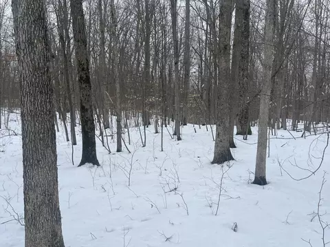 V/l Keith Rd, Brethren, MI 49619 photo 8