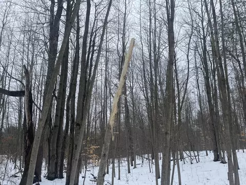 V/l Keith Rd, Brethren, MI 49619 photo 18