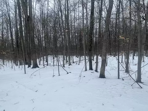 V/l Keith Rd, Brethren, MI 49619 photo 2