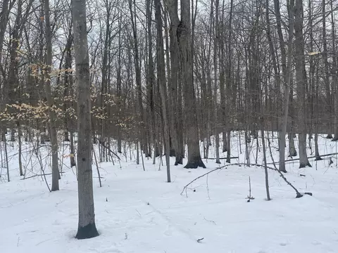 V/l Keith Rd, Brethren, MI 49619 photo 10