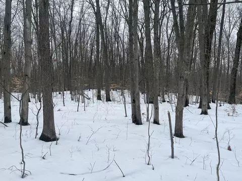 V/l Keith Rd, Brethren, MI 49619 photo 14