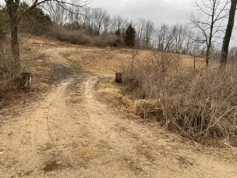 lot1 W Shaw Rd, Hastings, MI 49058
