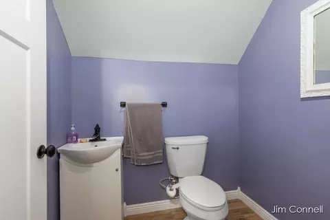 407 E Home St, Edmore, MI 48829 photo 52