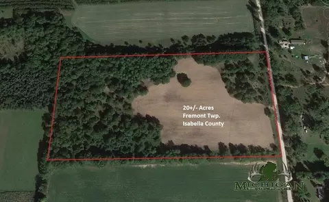 Vl Littlefield Road, Blanchard, MI 49310