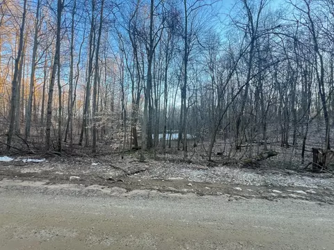 V/l Hoffman Street, Marcellus, MI 49067