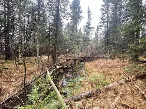 V/l 25a Juniper Way, Grayling, MI 49738
