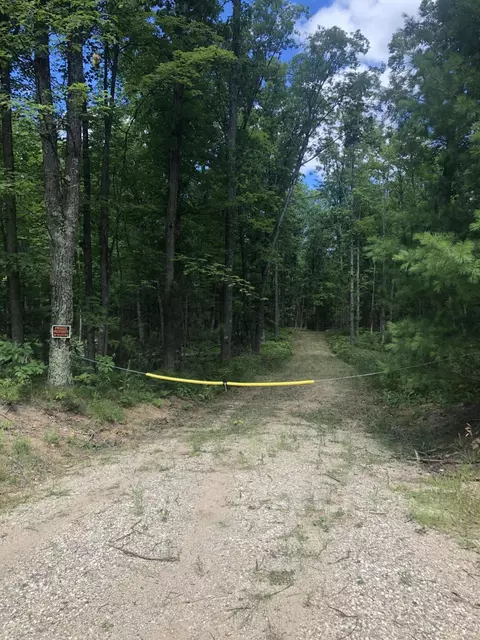 Parcel H Hoxeyville Road, Wellston, MI 49689