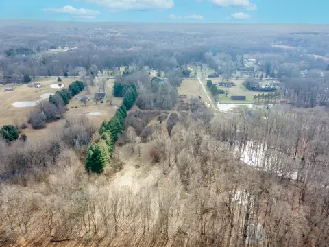View/Area - 8727 Willow Rd, Willis, MI 48191 photo 4 of 7