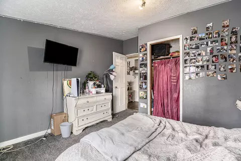 4238 E Shore Dr, Stanton, MI 48888 photo 15