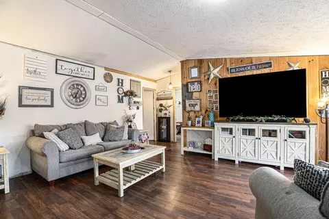 4238 E Shore Dr, Stanton, MI 48888 photo 5