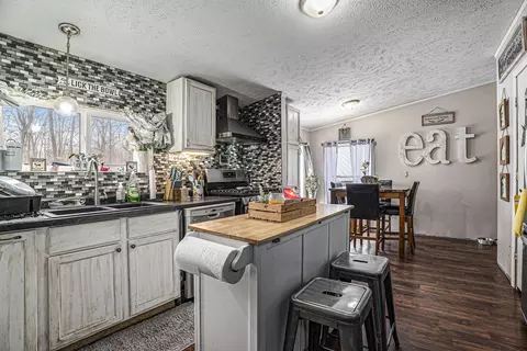 4238 E Shore Dr, Stanton, MI 48888 photo 12