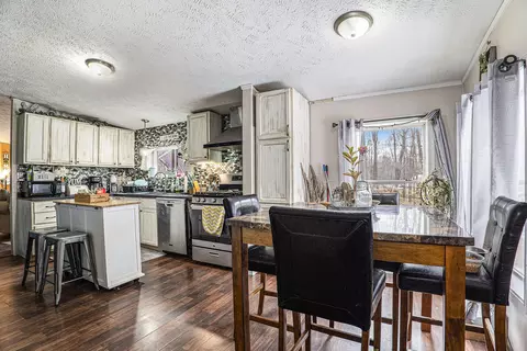 4238 E Shore Dr, Stanton, MI 48888 photo 8