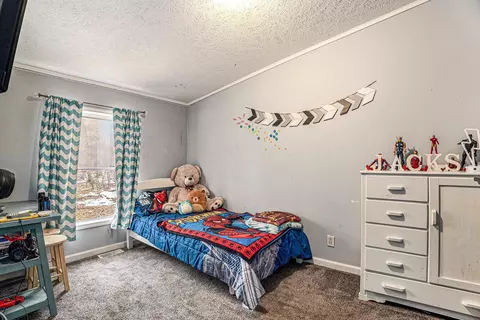 4238 E Shore Dr, Stanton, MI 48888 photo 16