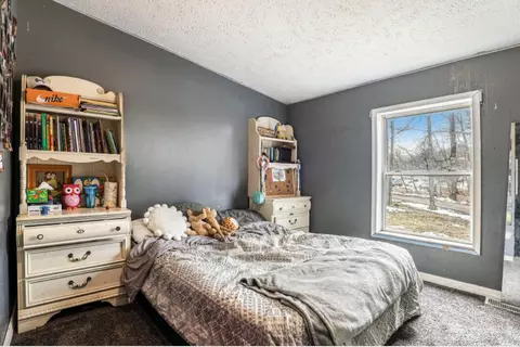 4238 E Shore Dr, Stanton, MI 48888 photo 14