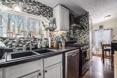 4238 E Shore Dr, Stanton, MI 48888 photo 13