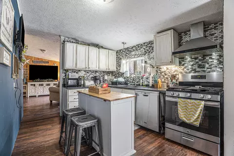 4238 E Shore Dr, Stanton, MI 48888 photo 10