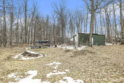 4238 E Shore Dr, Stanton, MI 48888 photo 23