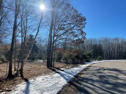6600 Dunhill Dr, Canadian Lakes, MI 49346