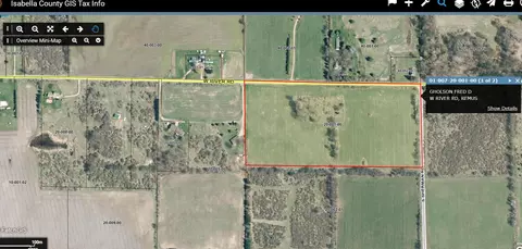 W River Road, Remus, MI 49340 photo 2